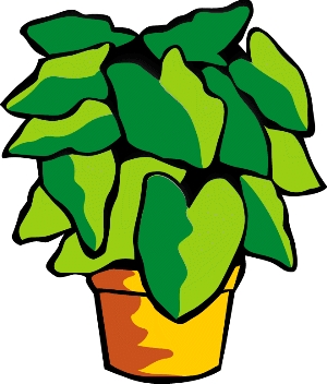 jpg_green-plant.jpg