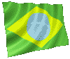 medt_Brazil.gif